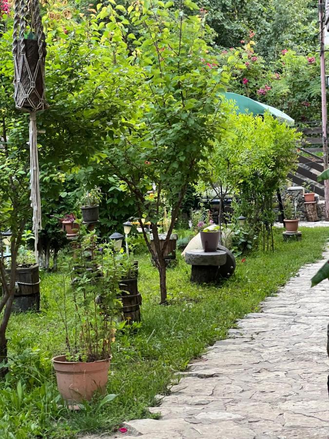 Artsiv Guesthouse Dilijan Exteriör bild